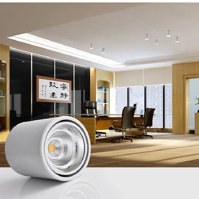 Surface Mounted Rotating LED Downlight