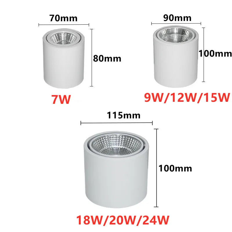 Surface Mounted Rotating LED Downlight