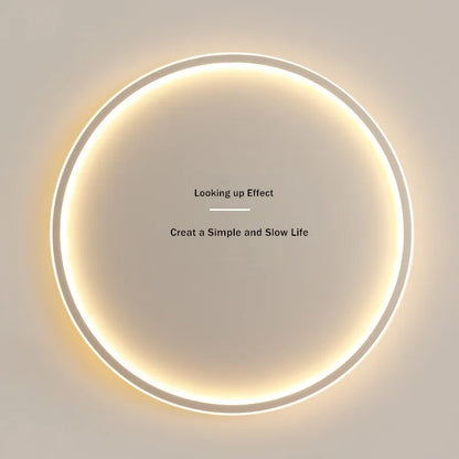 Minimalist Remote Control LED Ceiling Chandelier Light