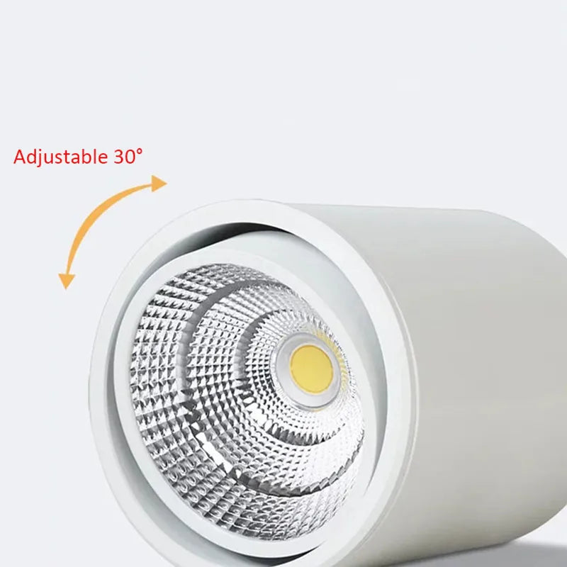 Surface Mounted Rotating LED Downlight